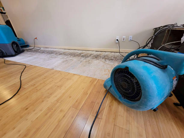 Professional Flood Damage Cleanup technician working in New Suffolk, NY